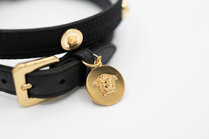 Icon Hundeleine & Hundehalsband Set aus Leder mit Medusa-Details