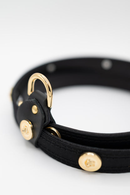 Icon Hundeleine & Hundehalsband Set aus Leder mit Medusa-Details