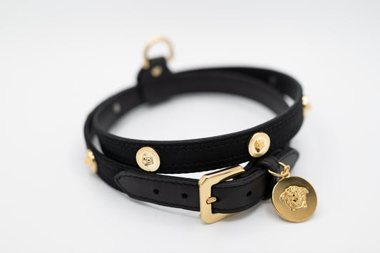 Icon Hundeleine & Hundehalsband Set aus Leder mit Medusa-Details
