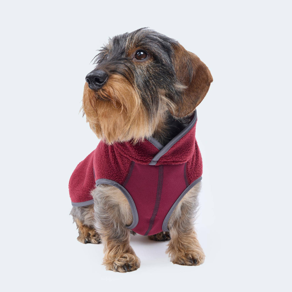 Hundemantel Dackel Fleece bordeaux