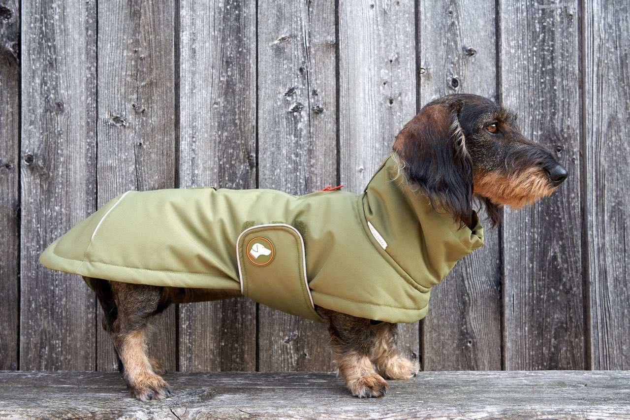 Dackel-Wintermantel Oskar in Oliv: Oliv / 4 | 44-49cm