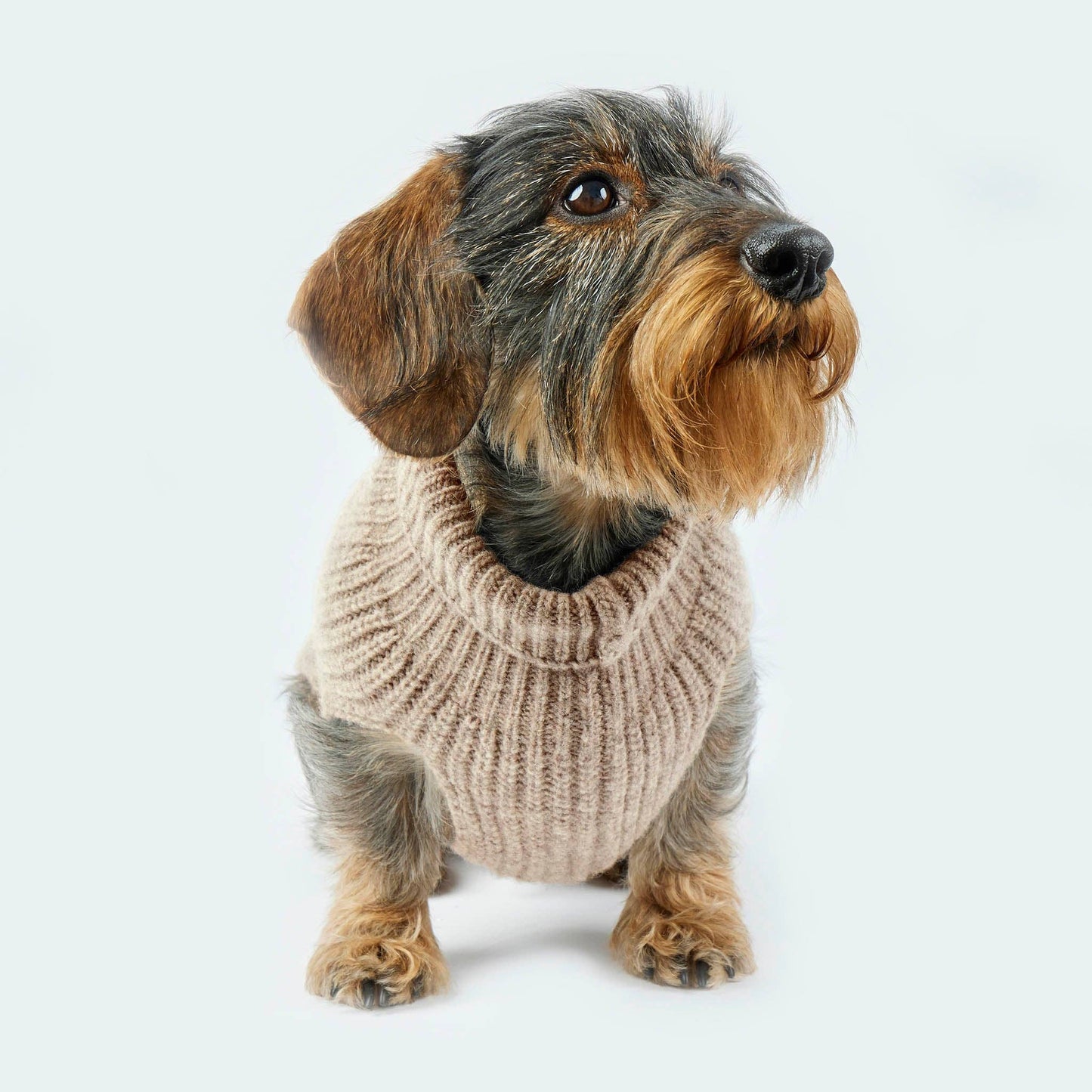 Hundestrickpullover taupe