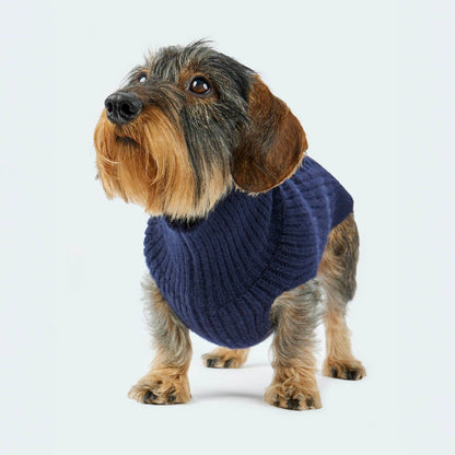 Hundestrickpullover dunkelblau