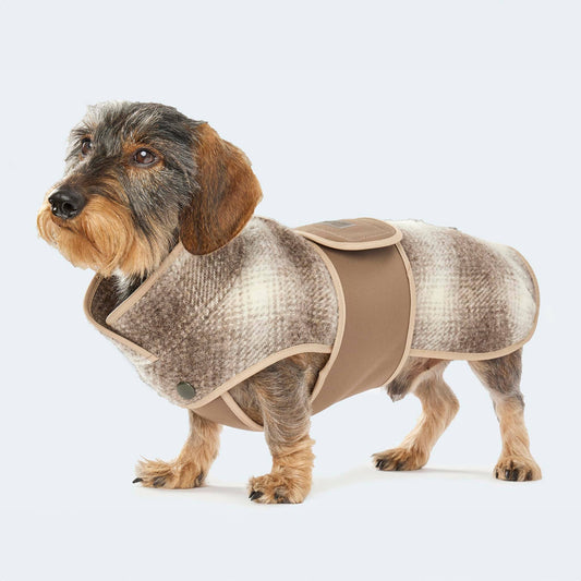 Hundemantel Loden Softshell Karo braun