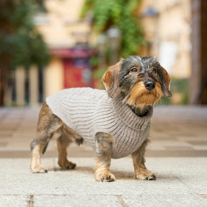 Hundestrickpullover taupe