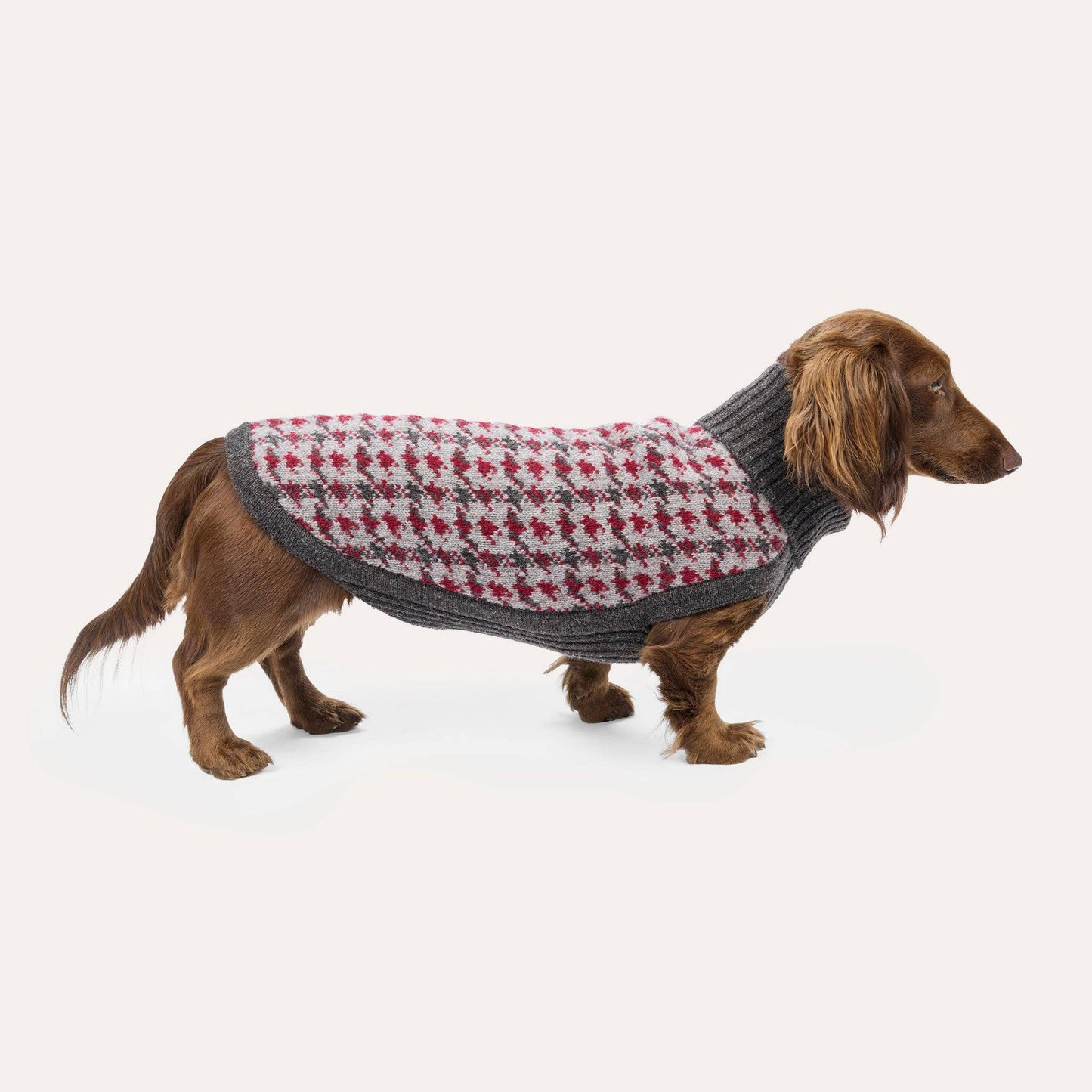 Hundestrickpullover Karo