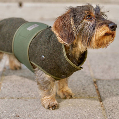 Hundemantel Loden Softshell oliv