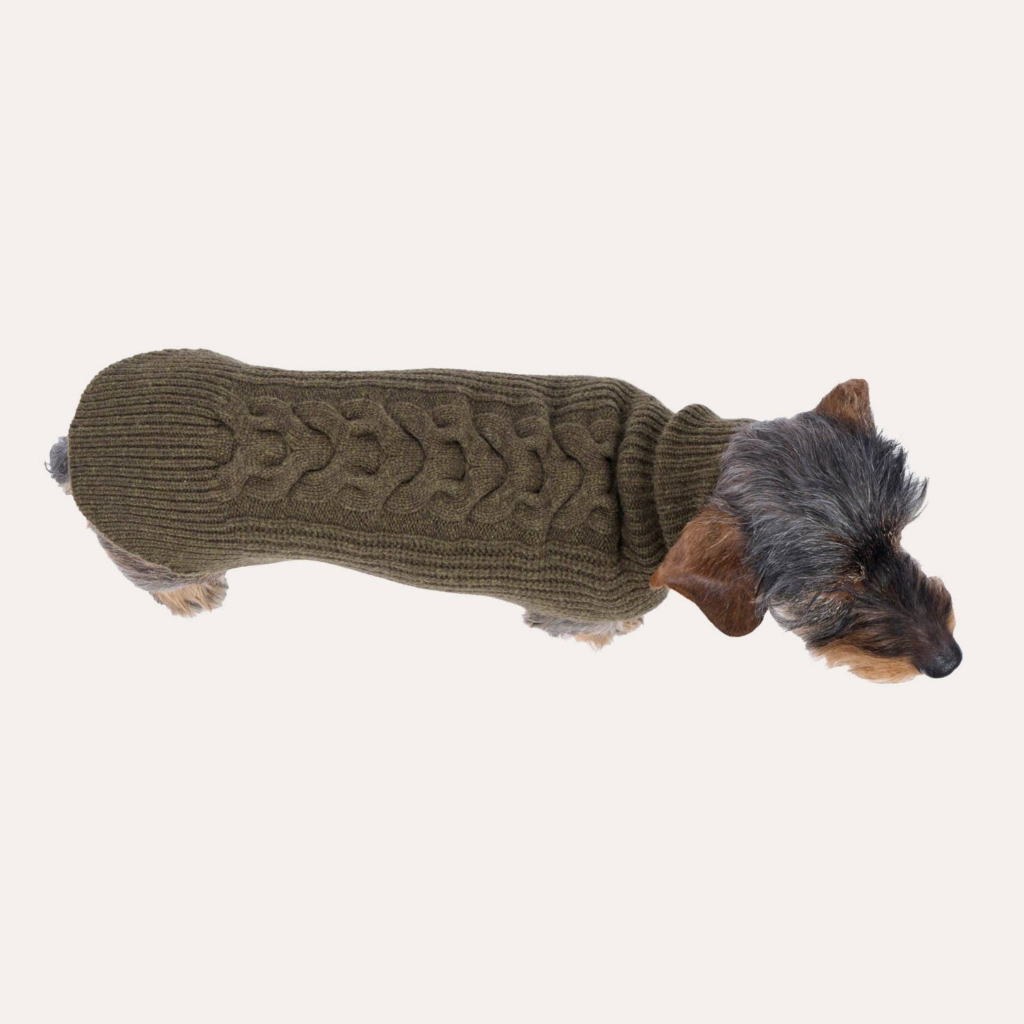 Hundestrickpullover oliv