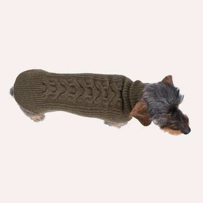 Hundestrickpullover oliv