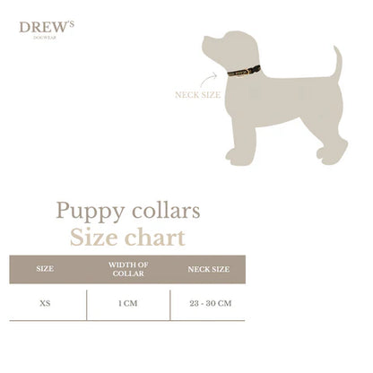 Light Puppy Collar Mini – Farbe Bright Orange