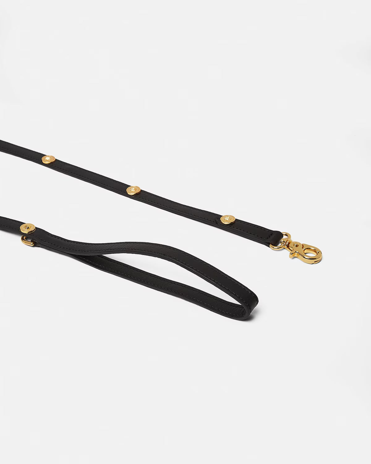 Icon Hundeleine & Hundehalsband Set aus Leder mit Medusa-Details