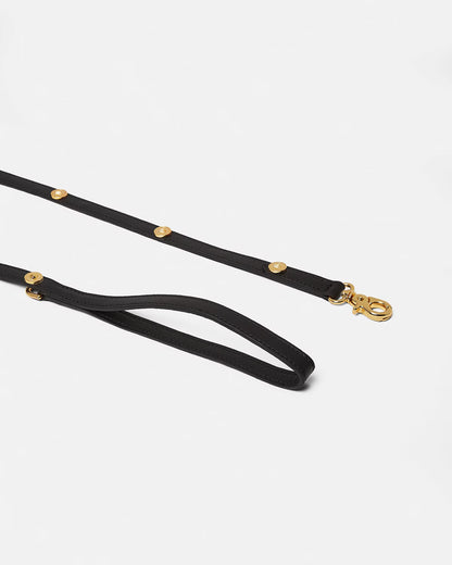Icon Hundeleine & Hundehalsband Set aus Leder mit Medusa-Details